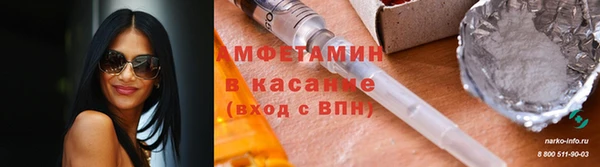 PSILOCYBIN Алзамай