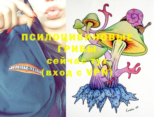 кокаин колумбия Алексин
