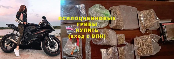 PSILOCYBIN Алзамай