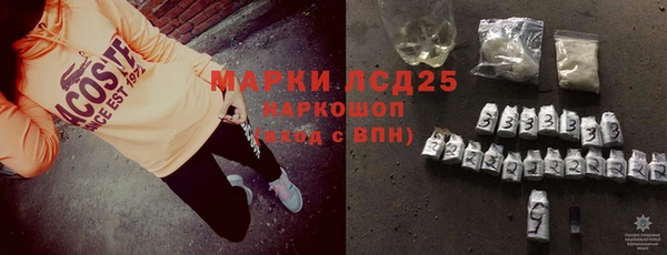 PSILOCYBIN Алзамай