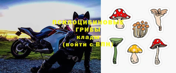 амф Алексеевка